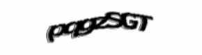 Security check image, please type the characters shown